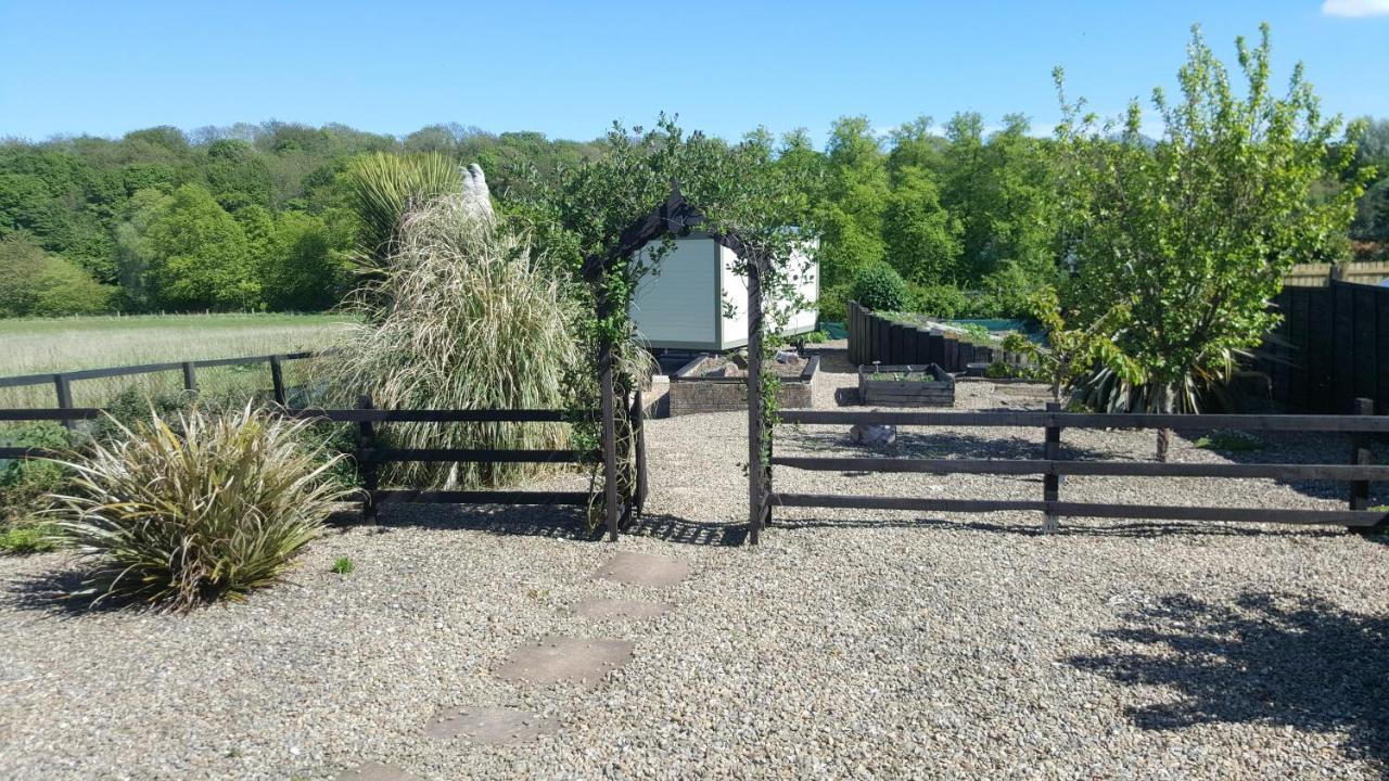 Sheepwash Shepherds Hut Bebside المظهر الخارجي الصورة