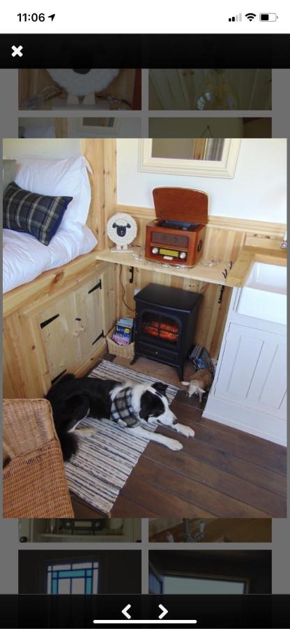 Sheepwash Shepherds Hut Bebside المظهر الخارجي الصورة