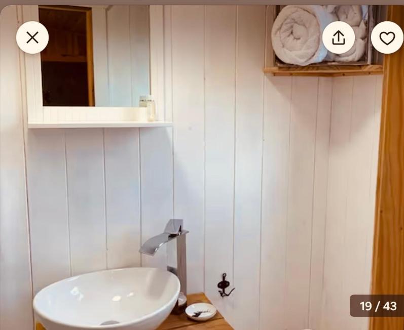 Sheepwash Shepherds Hut Bebside المظهر الخارجي الصورة